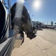 Used 2024 Harris Sunliner 230 CWDH Pontoon